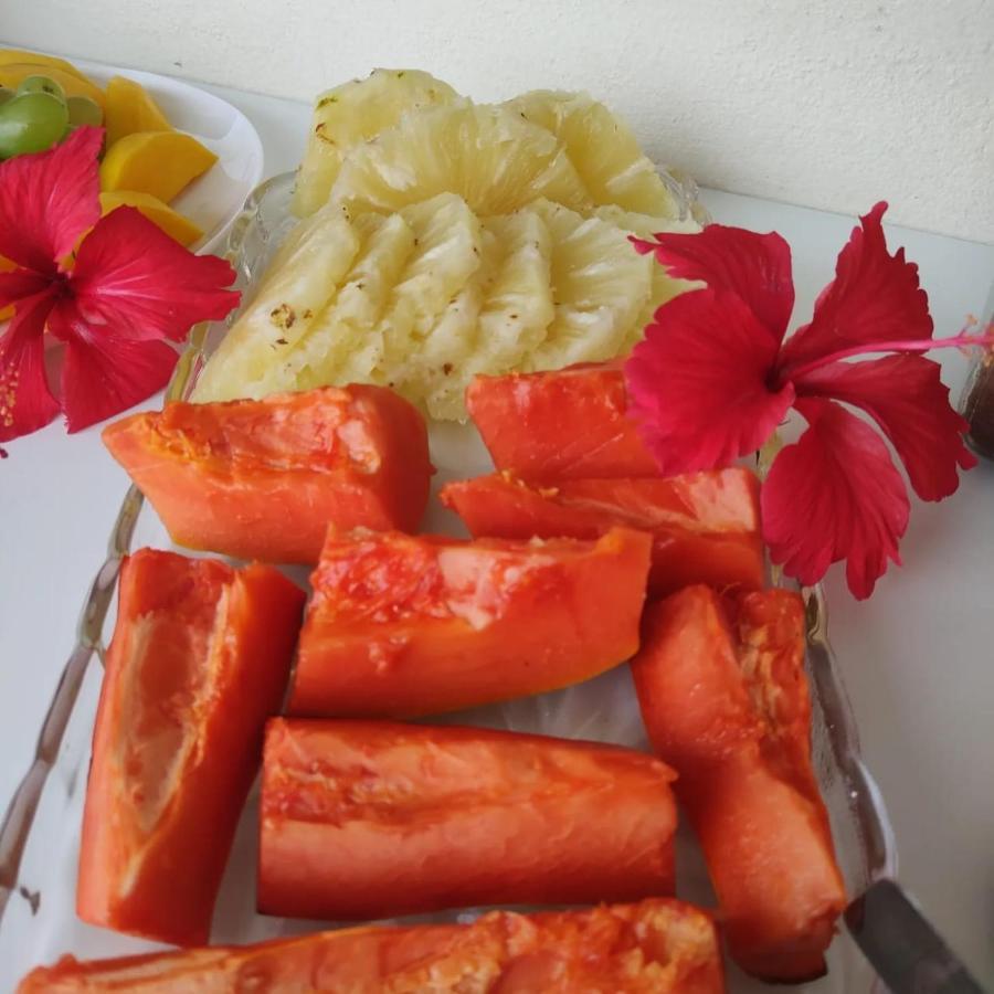 Pousada Brilho Do Sol 상 미구엘 도 고스토조 외부 사진